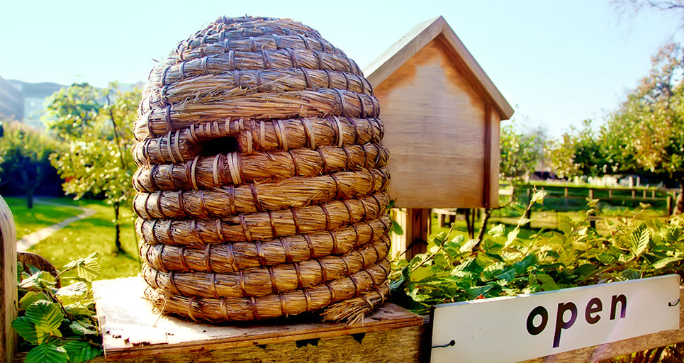 Raw wild honey