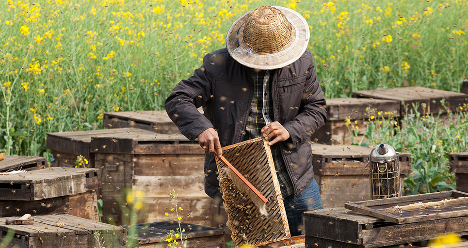 From natural farm